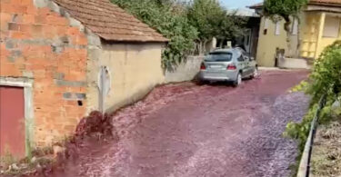 The Streets of Levira, Portugal Were Flooded with Wine due to Distillery Tank Burst