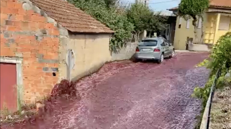 The Streets of Levira, Portugal Were Flooded with Wine due to Distillery Tank Burst