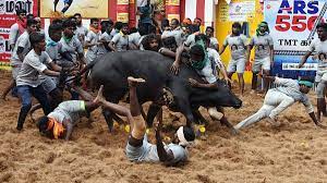 Tragedy Strikes as 2 Lives Lost in Jallikattu Mishap in Sivaganga, Tamil Nadu